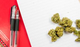 marijuana_notebook_cdp_slider