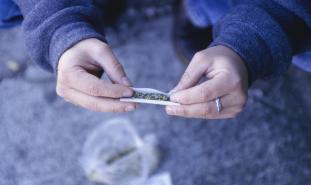 person rolling marijuana joint