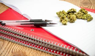 marijuanaonnotebook_article.jpg